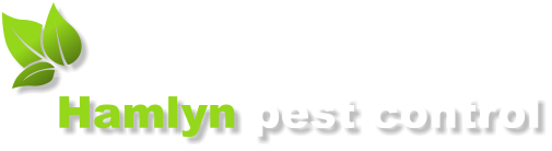 Hamlyn pest control